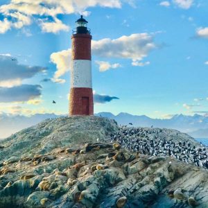 NAVEGACIÓN ISLA DE LOS LOBOS