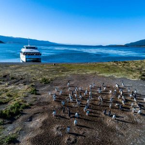 NAVEGACIÓN PINGÜINERA